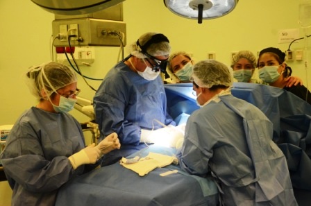 Operativo quirúrgico en Victoria, región de la Araucanía