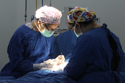 Thumbnail - MATER facilita 60 cirugías infantiles en Talca